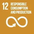 sdg_12_responsible_consumption.png