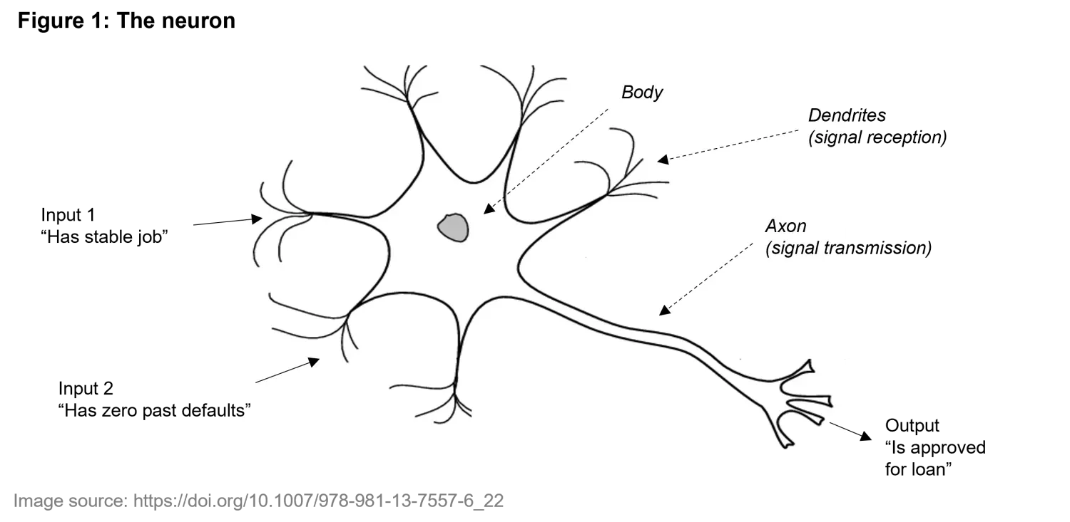 2024-10-22_quanta-byte_biological_to_artificial_chart1.png