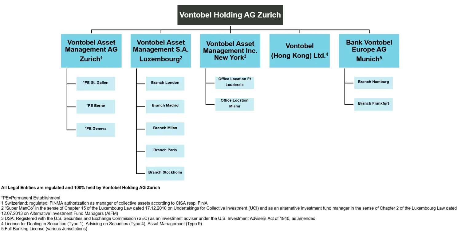 vt_shareholder_structure.png