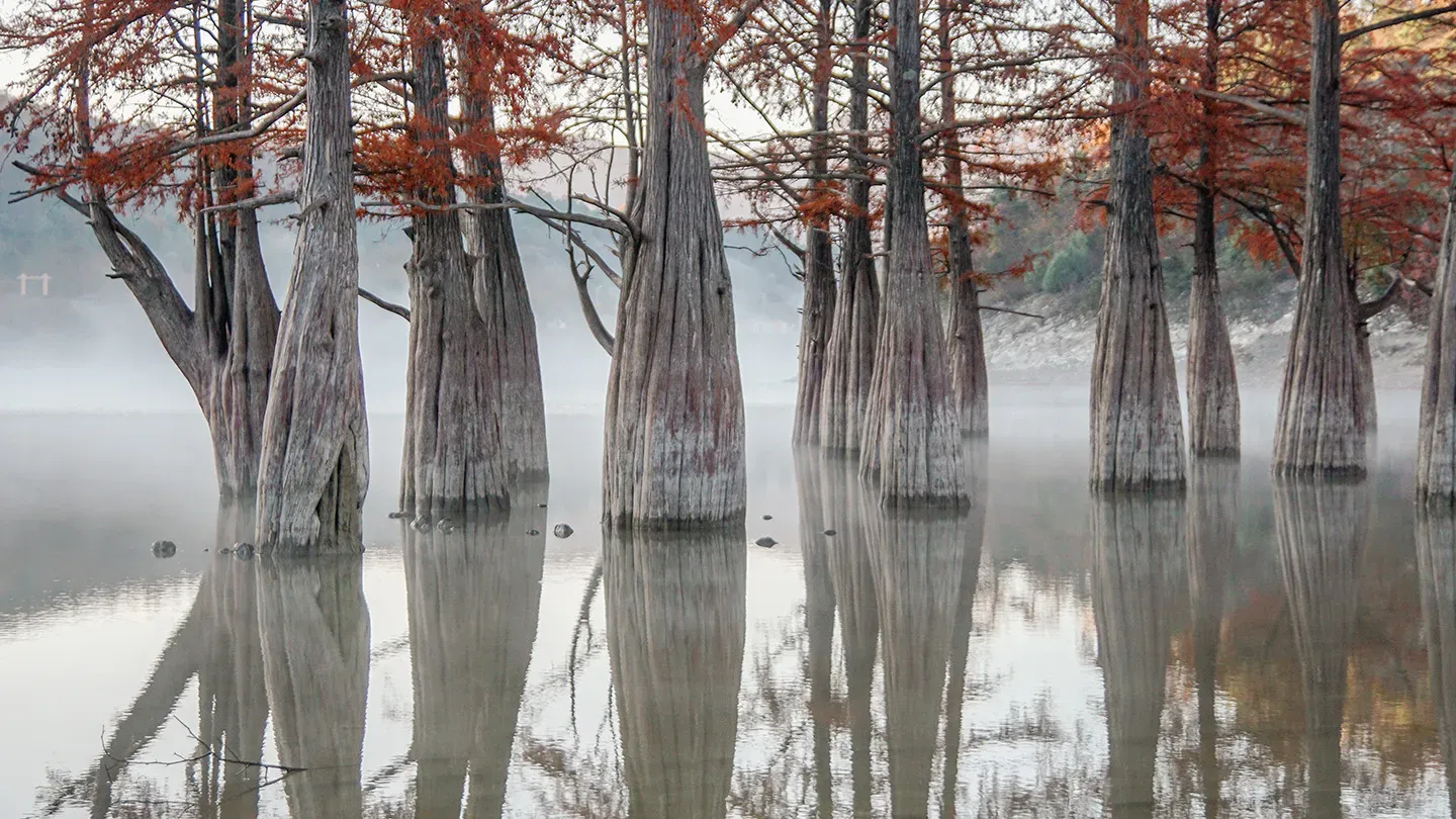 2025-11-28 quanta byte - liquid alts - teaser.jpg