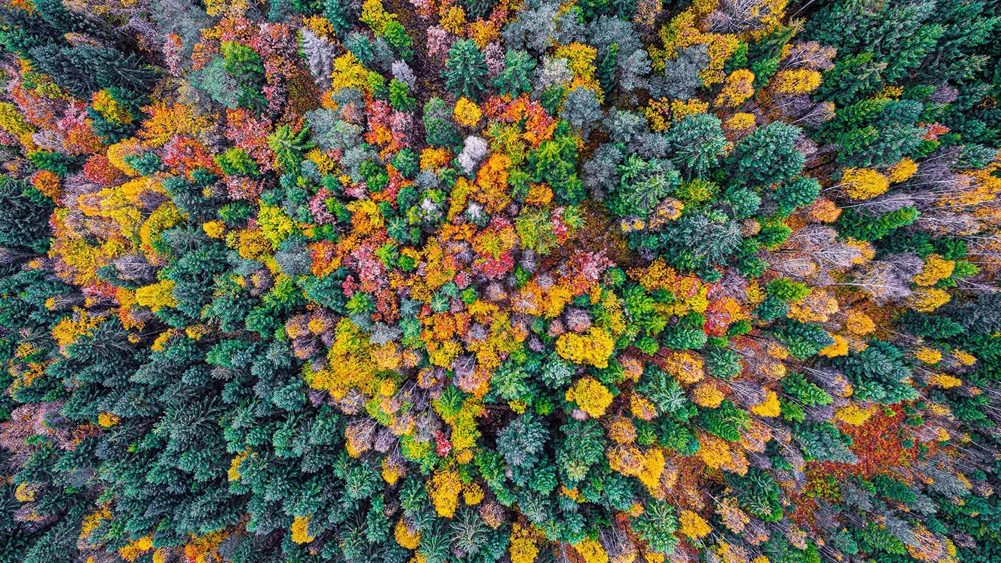 2025-12-19- quanta byte - 2026 Multi Asset Reloaded_teaser.jpg