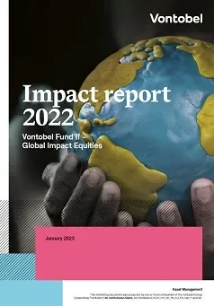 Impact_report_gie