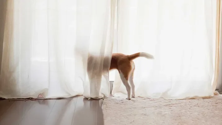 2023-05_Investors-Outlook_teaser