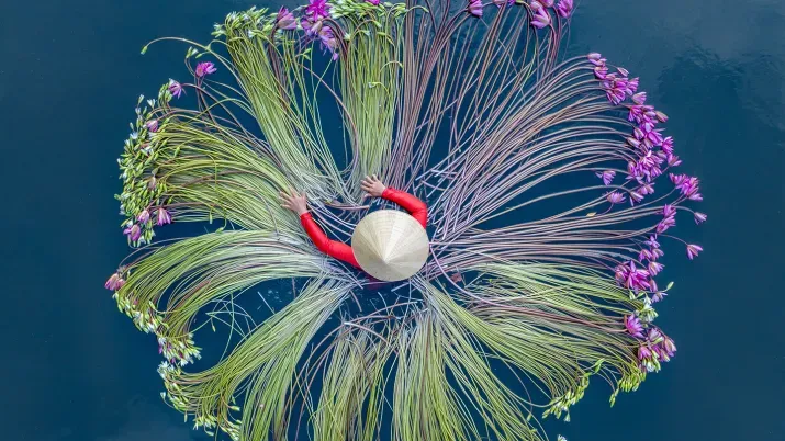 2025-06-12-5 investment myths - social.jpg