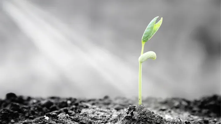 CLO value emerges ahead of likely autumn surge