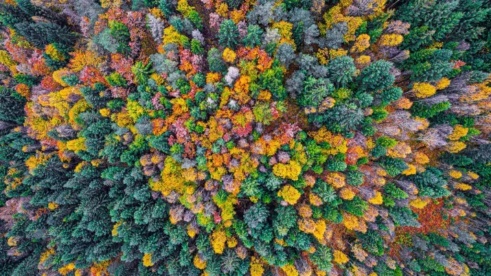 2025-12-19- quanta byte - 2026 Multi Asset Reloaded_teaser.jpg