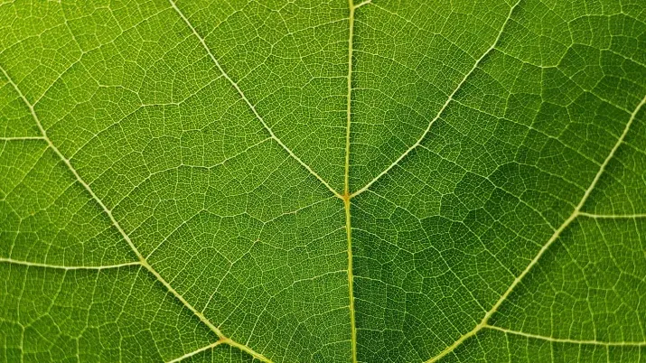 2026-10_the-green-multiplier_teaser.jpg